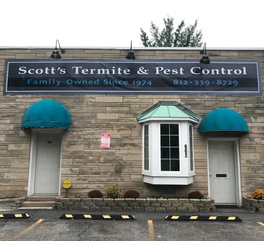 Our_Pest_Control_Services_Img