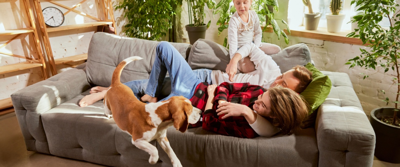 Who Offers Pet-Safe Pest Control Services in Bloomington, IN?